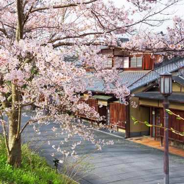 写真:ねねの道と高台寺公園